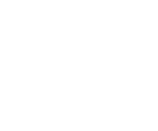 Autoguar Luxury car repair and service